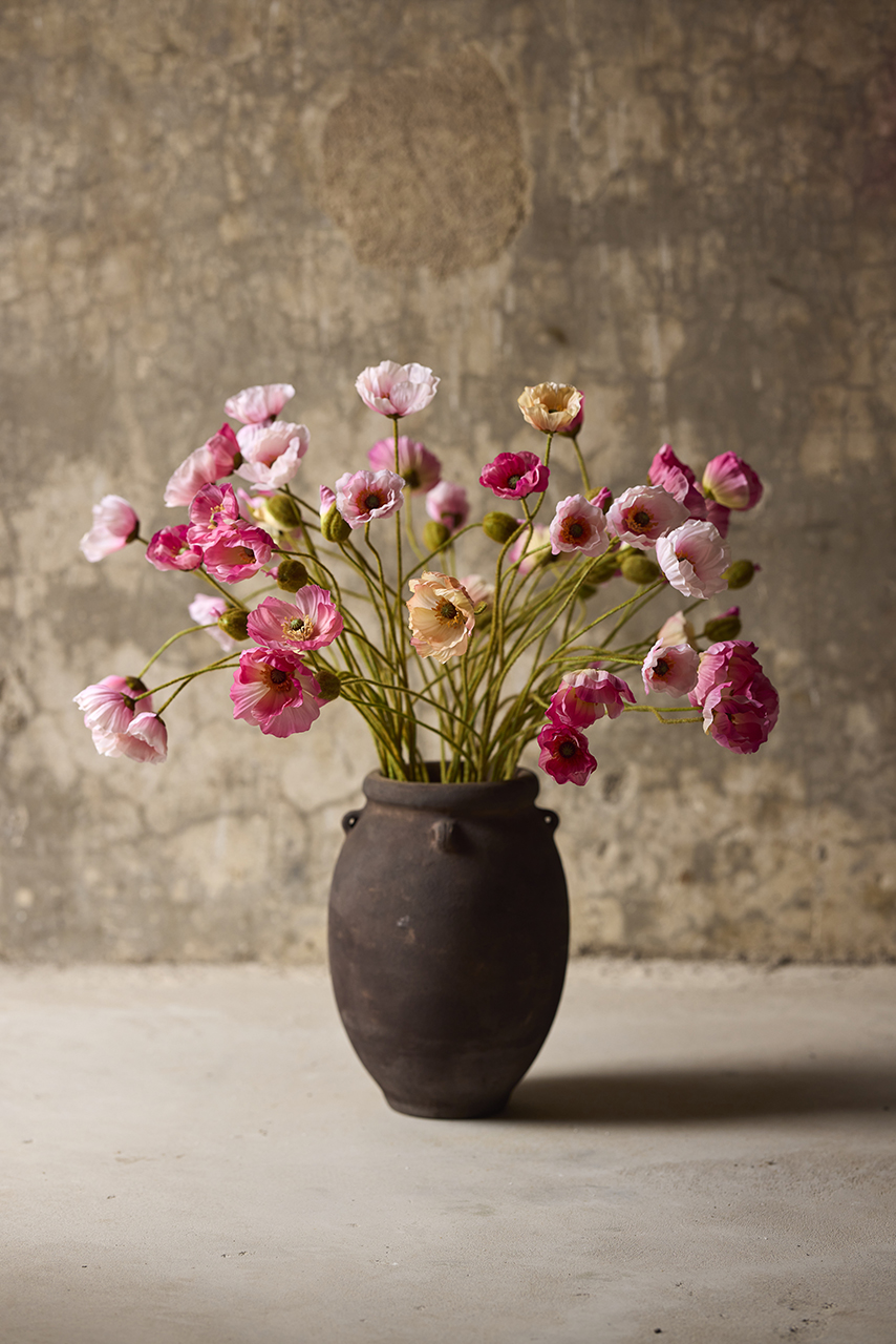 /images/imagebankSeasons/small/Mr Plant SS 2024/1171-20,21,31.jpg